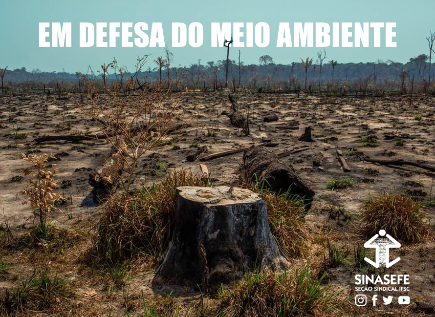 Nota de apoio aos servidores (as) do IBAMA